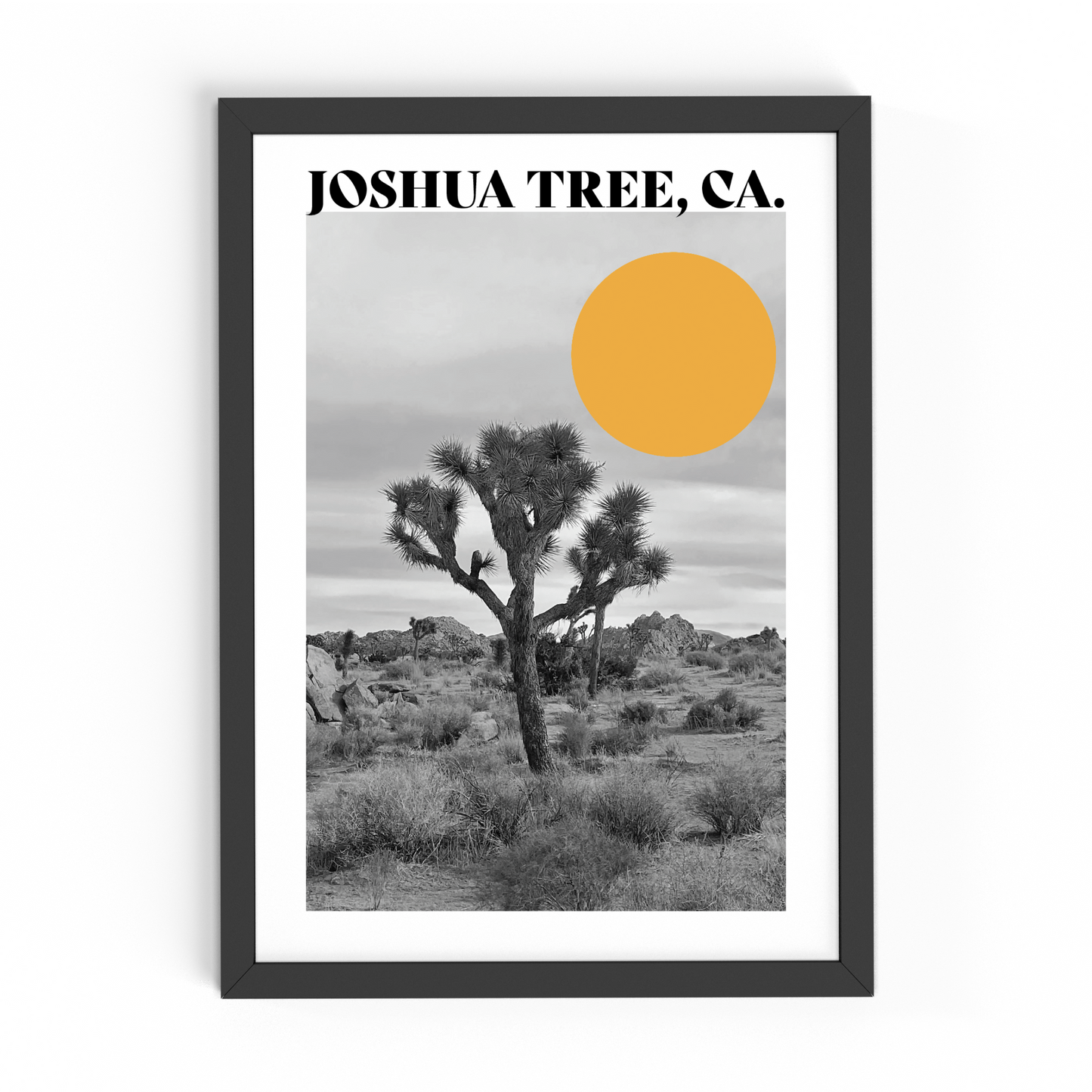 Joshua Tree