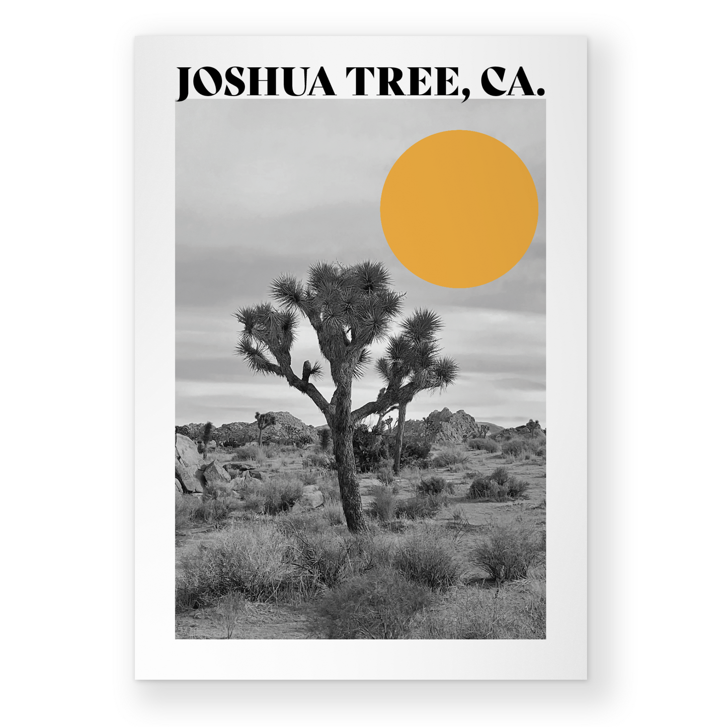 Joshua Tree