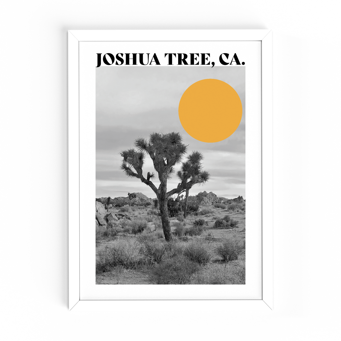 Joshua Tree